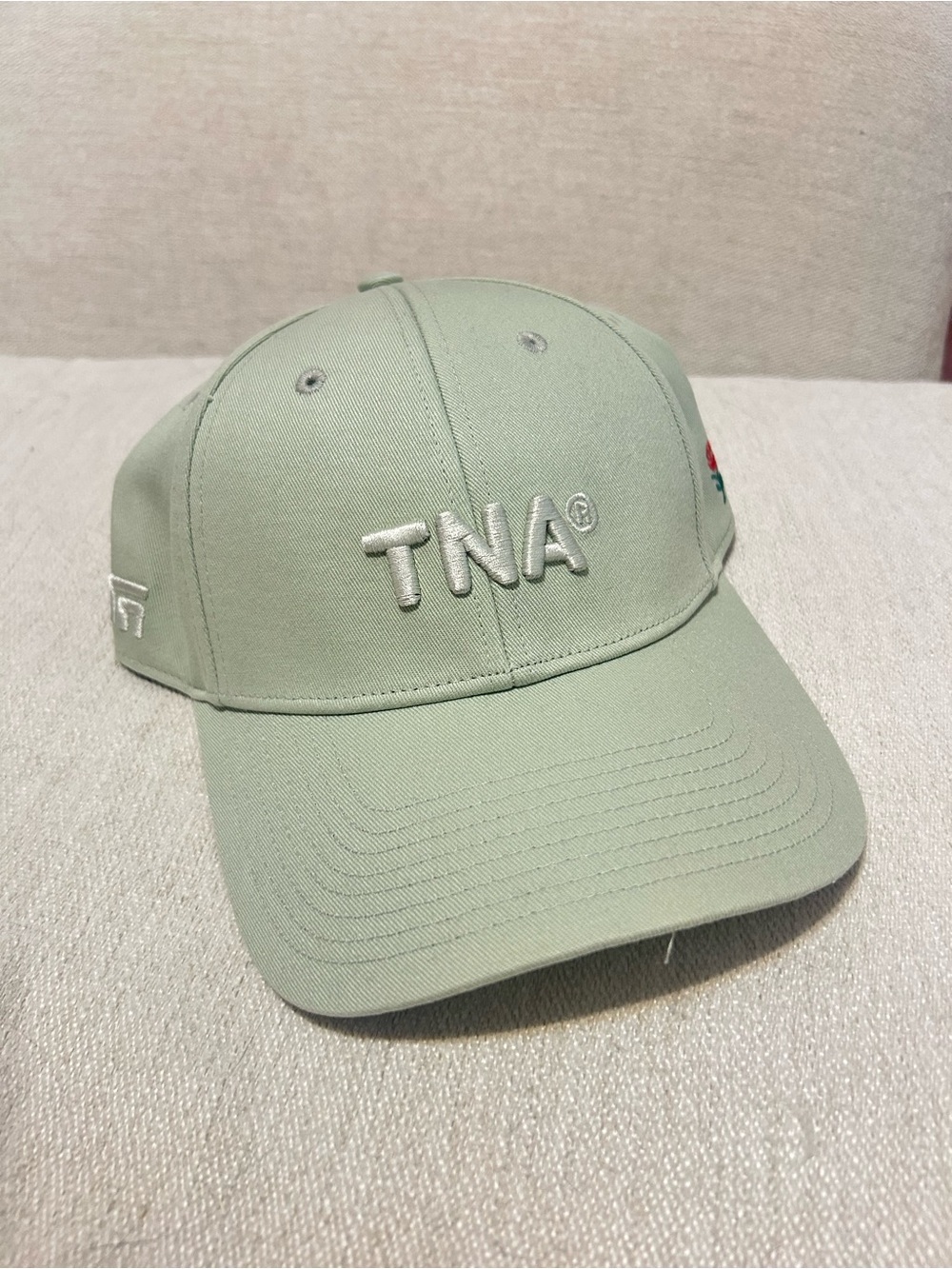 Aritzia TNA Embroidered Logo Cap - Sage